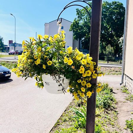 Tallinnhousing Studio For 4 With Free Parking Exteriör bild