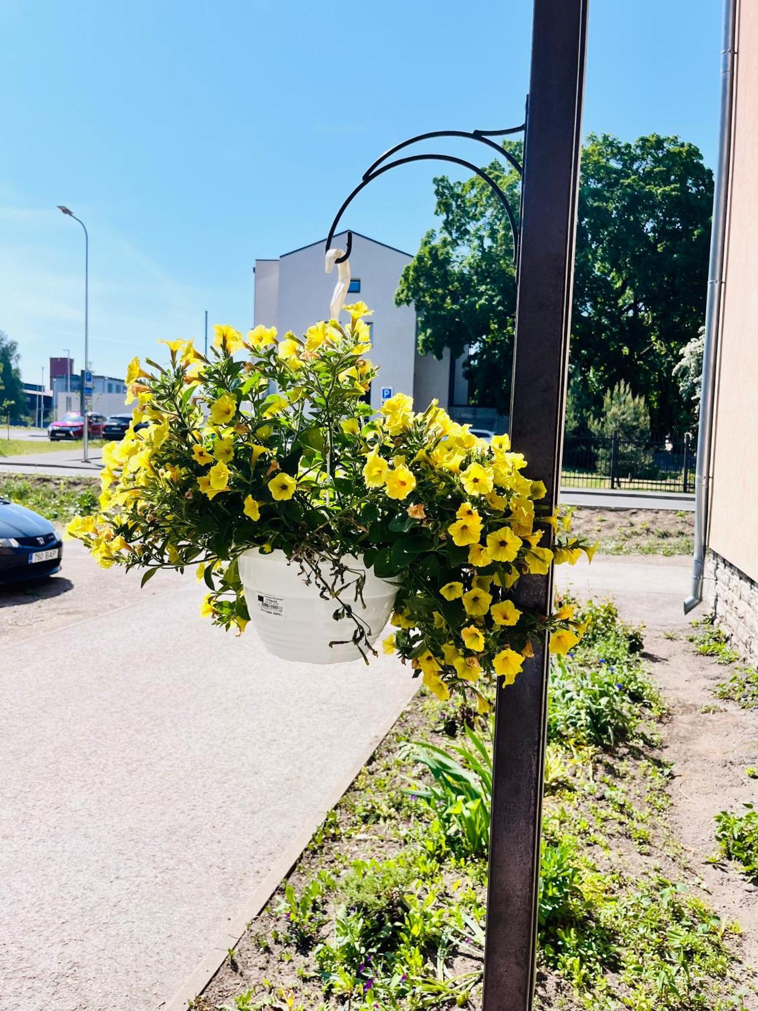 Tallinnhousing Studio For 4 With Free Parking Exteriör bild